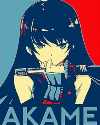 Akame Ga Kill Illustration diamond painting