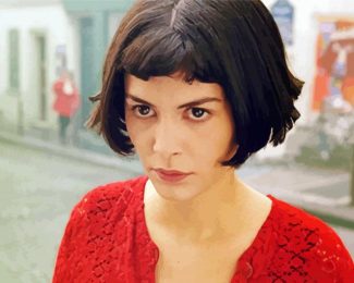 Amelie Movie diamond painting