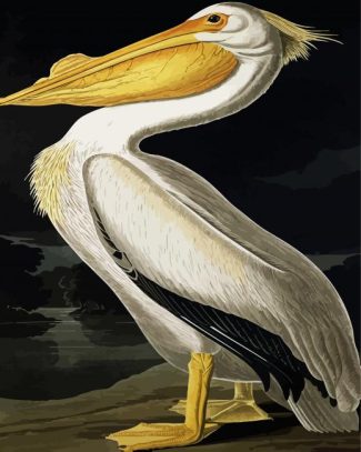 American White Pelican By John James Audubon diamond painting