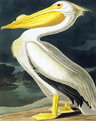 American White Pelican Audubon diamond painting