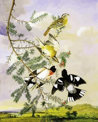 Audubon Rose Breasted Grosbeak diamond painting