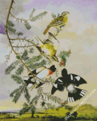 Audubon Rose Breasted Grosbeak diamond painting