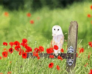 Barn Owl And Poppies diamond painting