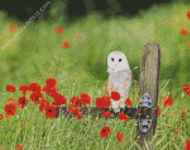 Barn Owl And Poppies diamond painting