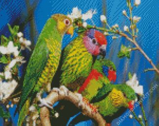 Beautiful Birds diamond painting