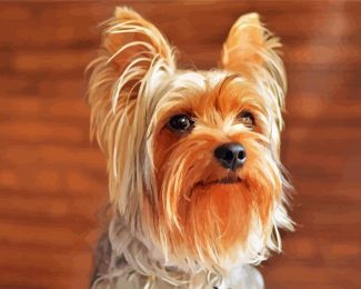 Beige And Brown Yorkshire Terrier diamond painting