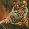 Bengal Tiger Animal diamond painting