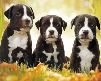 Black American Staffordshire Terrier Puppies diamond painting