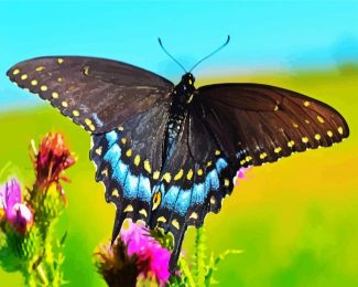 Black Swallowtail diamond painting