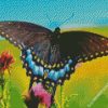 Black Swallowtail diamond painting