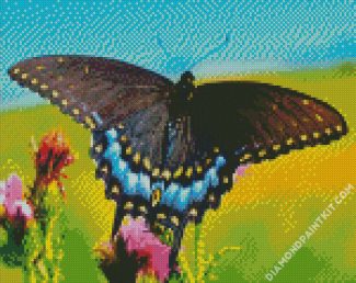 Black Swallowtail diamond painting