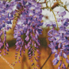 Blooming Wisteria diamond painting