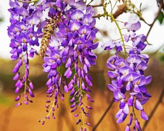 Blooming Wisteria diamond painting