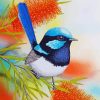 Blue Wren Bird diamond painting