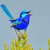 Blue Wren diamond painting