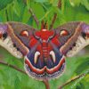 Cecropia Moth Butterfly diamond painting