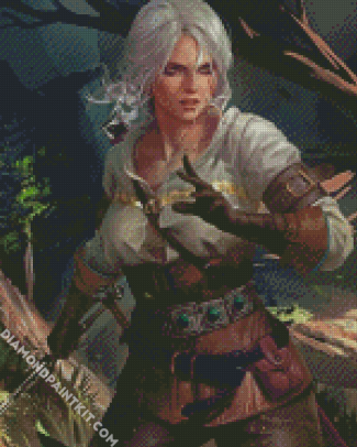 Ciri Witcher Illustration diamond painting