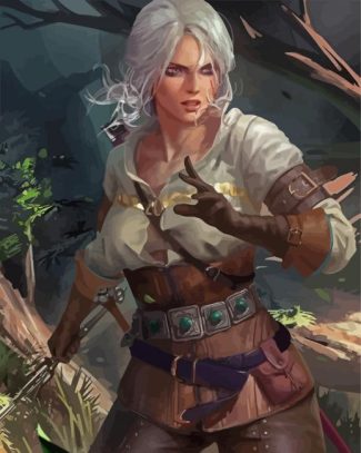 Ciri Witcher Illustration diamond painting