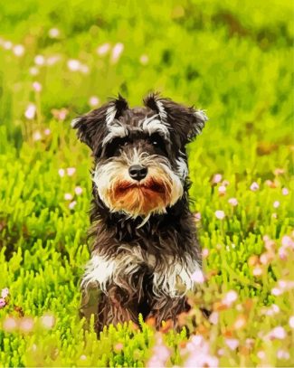 Cute Schnauzer diamond painting