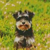 Cute Schnauzer diamond painting