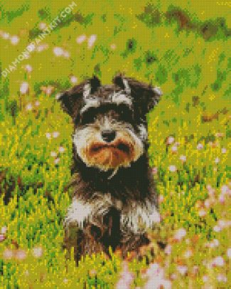 Cute Schnauzer diamond painting