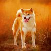 Cute Shiba Inu Dog diamond painting