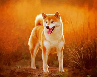 Cute Shiba Inu Dog diamond painting