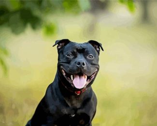 Cute Staffy Puppy diamond painting