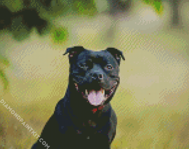 Cute Staffy Puppy diamond painting