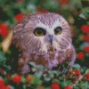 Cute Owl diamond painting