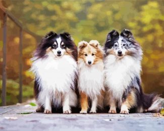 Cute Sheepdogs diamond painting