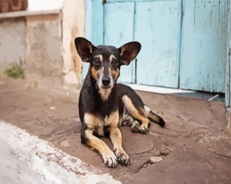 Cute Street Dog diamond painting