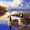 Ducks In A River diamond painting