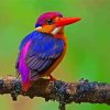 Dwarf Kingfisher diamond painting