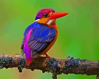 Dwarf Kingfisher diamond painting