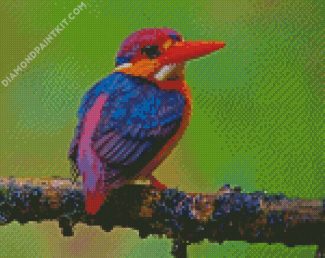 Dwarf Kingfisher diamond painting