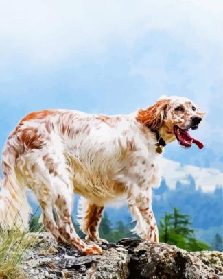 English Setter Dog Breed diamond painting