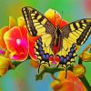 Flower Swallowtail diamond painting