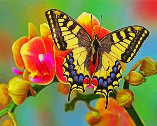 Flower Swallowtail diamond painting