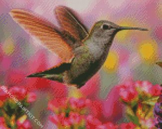 Flying Beautiful Hummingbird diamond painting