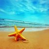 Golden Starfish diamond painting