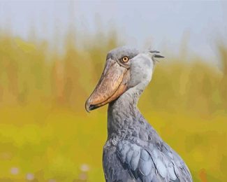 Grey Shoebill diamond painting