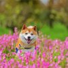 Happy Shiba Inu diamond painting