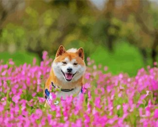 Happy Shiba Inu diamond painting