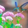 Hummingbird And Flowers diamond painting