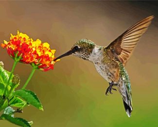 Hummingbird With Lantana diamond painting