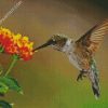 Hummingbird With Lantana diamond painting