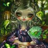 Jasmine Becket Griffith Fish diamond painting