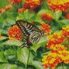 Lantana And Butterfly diamond painting