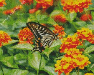 Lantana And Butterfly diamond painting